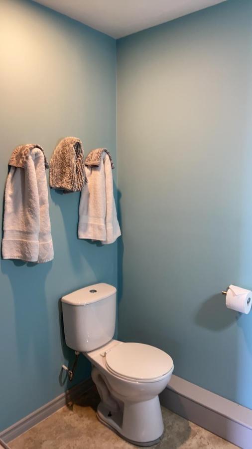 Lakeview Motel Jemseg Dış mekan fotoğraf